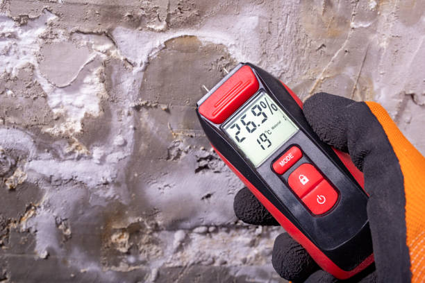 Wildwood, NJ Mold Removal Company