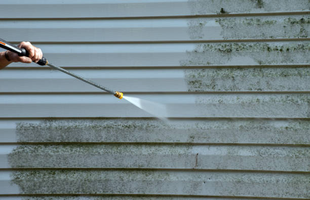 Best Commercial Mold Removal  in Wildwood, NJ
