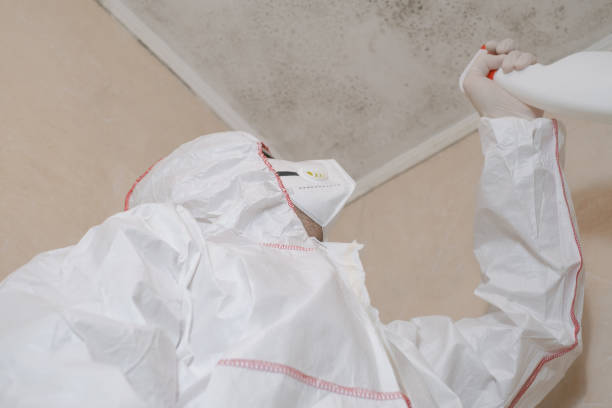Best Residential Mold Removal  in Wildwood, NJ